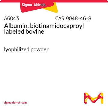 Albumin, biotinamidocaproyl labeled bovine lyophilized powder