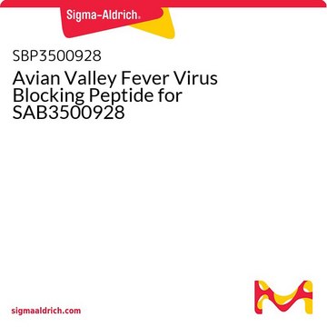 Avian Valley Fever Virus Blocking Peptide for SAB3500928