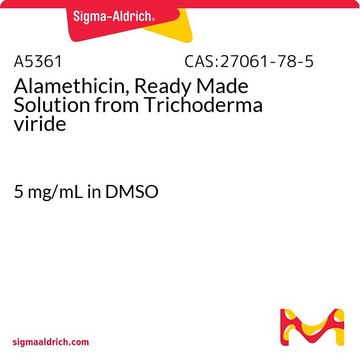 Alamethicin, Ready Made Solution from Trichoderma viride 5&#160;mg/mL in DMSO