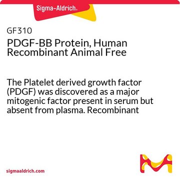 不含人重组动物的PDGF-BB蛋白 The Platelet derived growth factor (PDGF) was discovered as a major mitogenic factor present in serum but absent from plasma. Recombinant animal free human PDGF-BB is manufactured using all non-animal reagents.