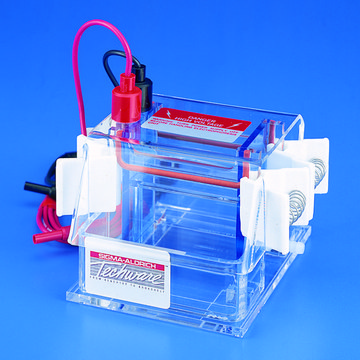 Vertical electrophoresis unit, fixed height, dual gel Dual mini