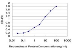 ANTI-SREBF1 antibody produced in mouse clone 4G4, purified immunoglobulin, buffered aqueous solution