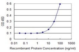 Monoclonal Anti-ENAH antibody produced in mouse clone 3E6, purified immunoglobulin, buffered aqueous solution