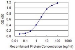 Monoclonal Anti-ZWINT antibody produced in mouse clone 1B7, purified immunoglobulin, buffered aqueous solution