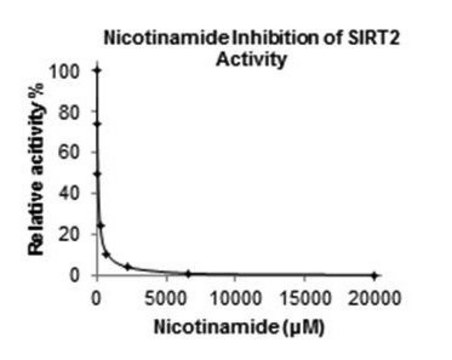 Sirtuin 2（SIRT2）抑制剂筛选测定试剂盒 100 assays in 96 well plates