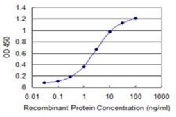 Monoclonal Anti-OTOP2 antibody produced in mouse clone 6F11, purified immunoglobulin, buffered aqueous solution