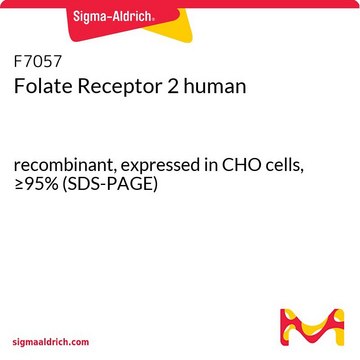 Folate Receptor 2 人 recombinant, expressed in CHO cells, &#8805;95% (SDS-PAGE)