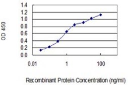 Monoclonal Anti-TXNL6 antibody produced in mouse clone 7H3, purified immunoglobulin, buffered aqueous solution
