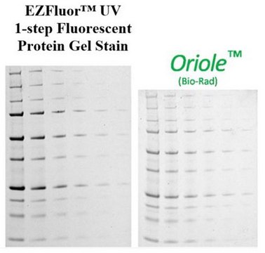 EZFluor&#8482; UV 1-step Fluorescent Protein Gel Stain (1L)