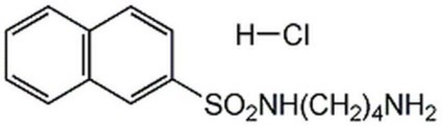 W-12, Hydrochloride A cell-permeable and reversible calmodulin antagonist that inhibits myosin light chain kinase (IC&#8325;&#8320; = 300 &#181;M) and Ca2+-calmodulin-dependent phosphodiesterase (IC&#8325;&#8320; = 260 &#181;M).