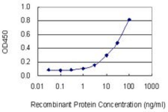 Monoclonal Anti-EIF4E2 antibody produced in mouse clone 1F3, purified immunoglobulin, buffered aqueous solution