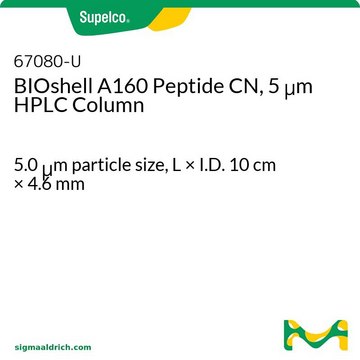 BIOshell A160 Peptide CN, 5 &#956;m HPLC Column 5.0&#160;&#956;m particle size, L × I.D. 10&#160;cm × 4.6&#160;mm