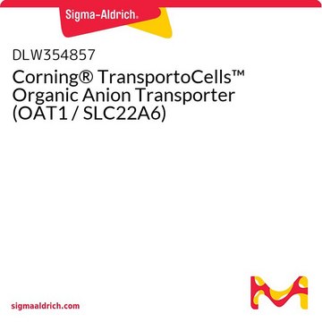 Corning&#174; TransportoCells&#8482; Organic Anion Transporter (OAT1 / SLC22A6)