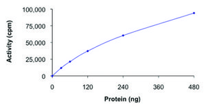 FAK, active, GST tagged human PRECISIO® Kinase, recombinant, expressed in baculovirus infected Sf9 cells, ≥70% (SDS-PAGE), buffered aqueous glycerol solution
