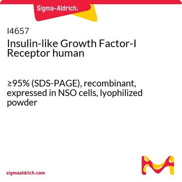 Insulin-like Growth Factor-I Receptor human &#8805;95% (SDS-PAGE), recombinant, expressed in NSO cells, lyophilized powder