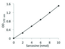 Sarcosine Assay Kit sufficient for 100 colorimetric&nbsp;or&nbsp;fluorometric&nbsp;tests