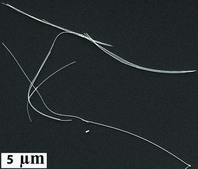 Gold nanowires diam. × L 30 nm × 6,000 nm, dispersion (H2O), contains CTAB as stabilizer