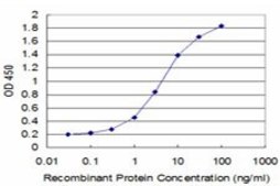 Monoclonal Anti-HEY1 antibody produced in mouse clone 3B3, purified immunoglobulin, buffered aqueous solution