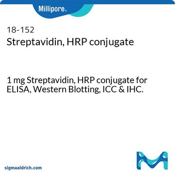 链霉亲和素，HRP 结合物 1 mg Streptavidin, HRP conjugate for ELISA, Western Blotting, ICC &amp; IHC.