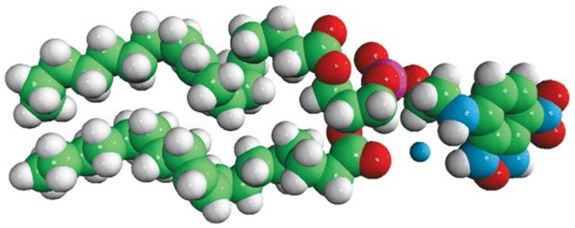 18:1 NBD PE Avanti Polar Lipids