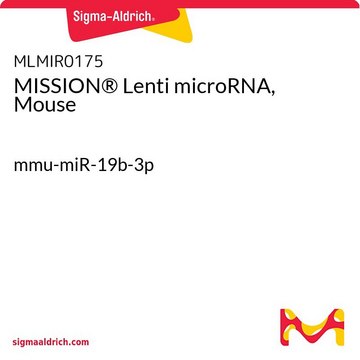 MISSION&#174; Lenti microRNA，小鼠 mmu-miR-19b-3p