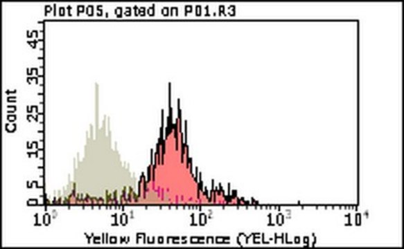 Anti-VCAM-1 (CD106) Antibody, clone 6C7.1 clone 6C7.1, from rat