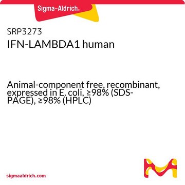 IFN-LAMBDA1 human Animal-component free, recombinant, expressed in E. coli, &#8805;98% (SDS-PAGE), &#8805;98% (HPLC)