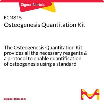 Osteogenesis Quantitation Kit The Osteogenesis Quantitation Kit provides all the necessary reagents &amp; a protocol to enable quantification of osteogenesis using a standard plate reader.