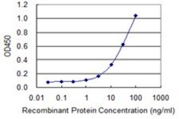 Monoclonal Anti-NOS2 antibody produced in mouse clone 2G4, purified immunoglobulin, buffered aqueous solution
