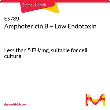 两性霉素 B-低内毒素 Less than 5 EU/mg, suitable for cell culture