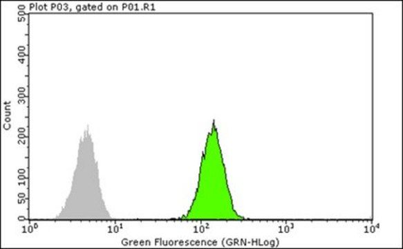 Anti-SMN Antibody, clone 2B1 clone 2B1, from mouse