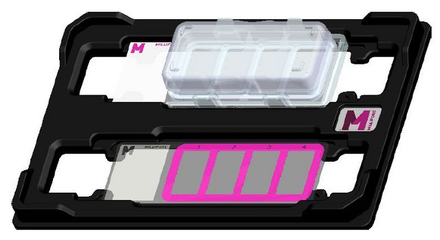 Millicell&#174; EZ Slide Microscope slide holder for 4 and 8 well units, holds two slides