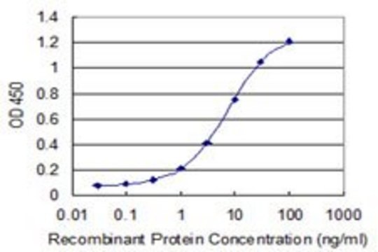 Monoclonal Anti-UBA6 antibody produced in mouse clone 1F9, purified immunoglobulin, buffered aqueous solution