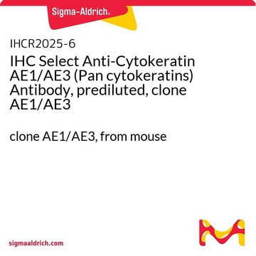 IHC Select Anti-Cytokeratin AE1/AE3 (Pan cytokeratins) Antibody, prediluted, clone AE1/AE3 clone AE1/AE3, from mouse