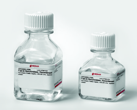 Fast &#946;-Glucuronidase, Recombinant from limpets (Patella Vulgata), aqueous solution