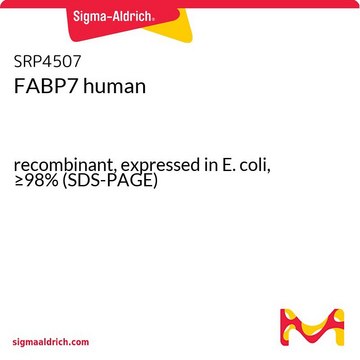 FABP7 human recombinant, expressed in E. coli, &#8805;98% (SDS-PAGE)