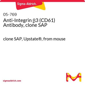 Anti-Integrin &#946;3 (CD61) Antibody, clone SAP clone SAP, Upstate&#174;, from mouse