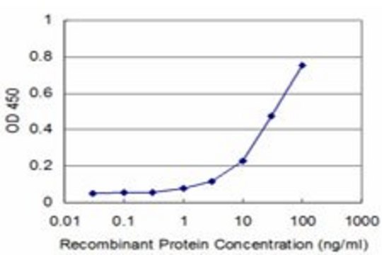 Monoclonal Anti-NHLH2 antibody produced in mouse clone 3E3, purified immunoglobulin, buffered aqueous solution