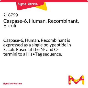 Caspase-6, Human, Recombinant, E. coli Caspase-6, Human, Recombinant is expressed as a single polypeptide in E. coli. Fused at the N- and C- termini to a His&#8226;Tag sequence. Undergoes spontaneous autoprocessing to yield the active enzyme.