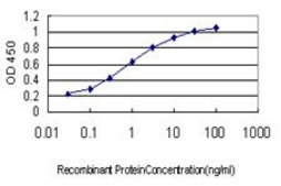Monoclonal Anti-USP43 antibody produced in mouse clone 1A5, purified immunoglobulin, buffered aqueous solution