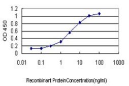 Monoclonal Anti-GMPS antibody produced in mouse clone 1D10, purified immunoglobulin, buffered aqueous solution