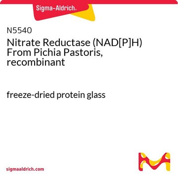 重组硝酸还原酶(NAD[P]H)，毕赤酵母来源 freeze-dried protein glass