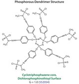 Cyclotriphosphazene-PMMH-6 dendrimer, generation 1.0