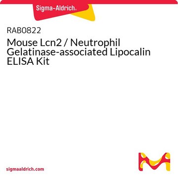 小鼠Lcn2 /中性粒细胞明胶酶相关Lipocalin ELISA试剂盒