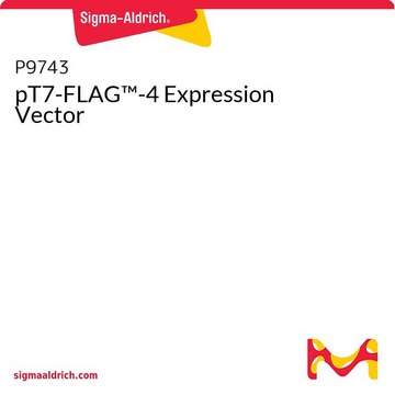 pT7-FLAG&#8482;-4 Expression Vector