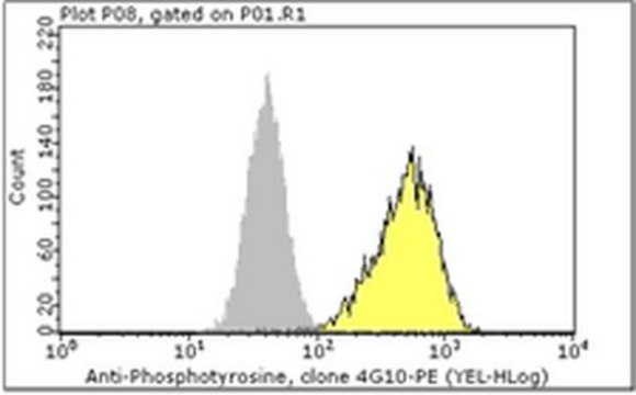 Milli-Mark&#174; Anti-Phosphotyrosine-PE Antibody, recombinant clone 4G10&#174; clone 4G10, Milli-Mark&#174;, from mouse