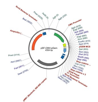 PSF-CMV-PGEM - CMV PGEM MCS PLASMID plasmid vector for molecular cloning