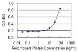 Monoclonal Anti-NR2F1 antibody produced in mouse clone 1A4, purified immunoglobulin, buffered aqueous solution