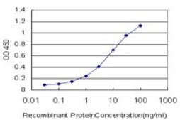 Monoclonal Anti-SMG1 antibody produced in mouse clone 1G5, purified immunoglobulin, buffered aqueous solution