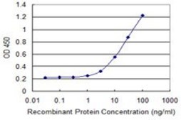 Monoclonal Anti-SEPHS1, (N-terminal) antibody produced in mouse clone 3G3, purified immunoglobulin, buffered aqueous solution